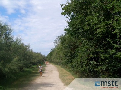 Dovolenka V Eraclea Mare Taliansko Dovolenka S Rodinou Mstt